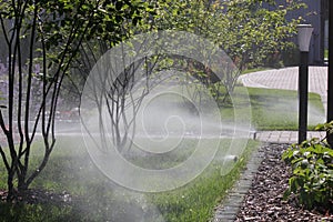 Automatic irrigation system in the garden with sprinklers watering the lawn and bushes