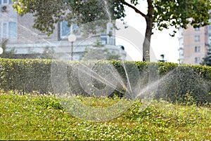 An automatic irrigation system irrigates the green lawn in the young garden of the city park photo