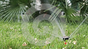 Automatic irrigation system, lawn sprinkler sprayer in action watering grass and plants.