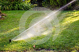 Automatic irrigation system watering green grass in sunny day. Lawn sprinkler spaying water