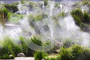 automatic irrigation with water spraying on the landscape design.