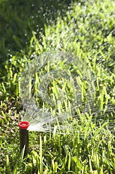 Automatic Lawn Grass and Garden Sprinklers