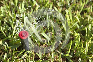 Automatic Lawn Grass and Garden Sprinklers
