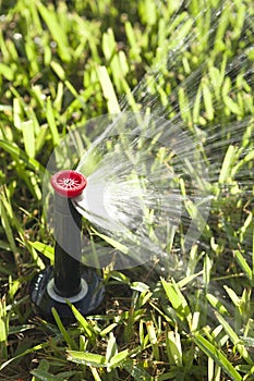 Automatic Lawn Grass and Garden Sprinklers