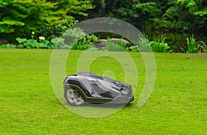Automatic lawn mower robot on grass