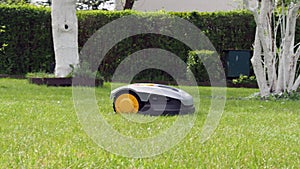 automatic lawn mower robot moves on the grass,