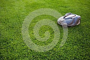 Automatic lawn mower robot moves on the grass, lawn. side view from above, copy space