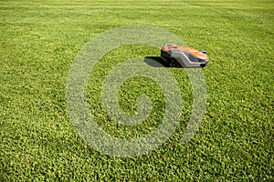 Automatic lawn mower robot moves on the green grass