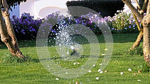 Automatic Lawn Sprinkler on the Garden with Green Grass. Slow Motion