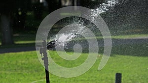 Automatic Lawn Sprinkler in the Green Garden Watering Grass in Slow Motion