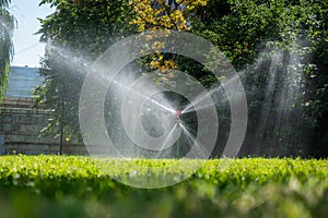 Automatic lawn sprinkler. Humidification of the grass in the dry summer period.
