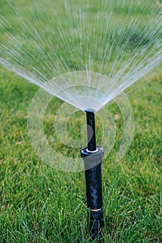 Automatic lawn sprinkler watering green grass.