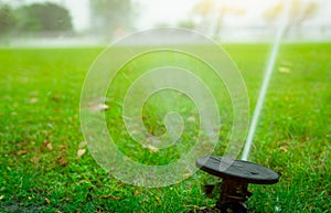 Automatic lawn sprinkler watering green grass. Garden, yard irrigation system watering lawn. Water saving or conservation from