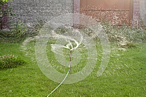 Automatic lawn sprinkler watering green grass. Sprinkler with automatic system. Garden irrigation system watering lawn