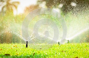 Automatic lawn sprinkler watering green grass. Sprinkler with automatic system. Garden irrigation system watering lawn. Sprinkler