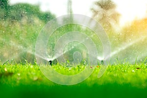 Automatic lawn sprinkler watering green grass. Sprinkler with automatic system. Garden irrigation system watering lawn. Water