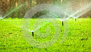Automatic lawn sprinkler watering green grass. Sprinkler with automatic system. Garden irrigation system watering lawn. Water