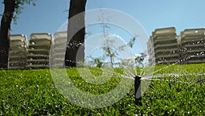 Automatic lawn watering. Garden Irrigation sprinkler watering lawn. Slow motion.