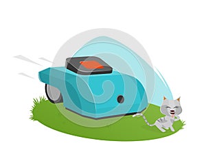 Automatic lawnmower attacking cute kitten