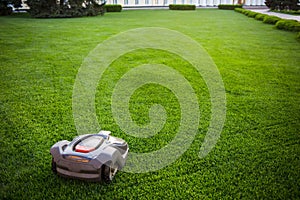 Automatic lawnmower robot mower on grass, lawn. view of the large mowed lawn. copy space