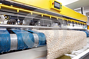 Automatic machine and equipment for carpet washing and dry cleaning