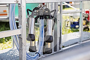 Automatic mechanized milking equipment for farm industry