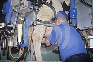 Automatic milking machine