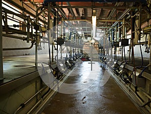 Automatic milking system