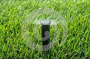 Automatic Pop Up Lawn Sprinkler Close Up