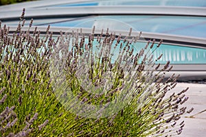 automatic retractable pool enclosure system to protect pool