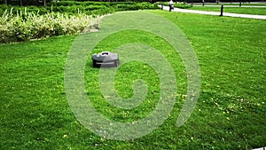 Automatic robot lawn mower rides on the lawn in a city park