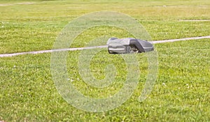Automatic robot lawnmower mowing green grass on a lawn in a warm sunny summer day