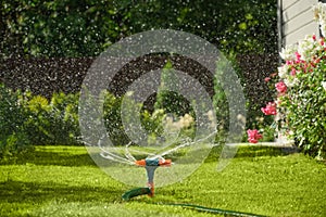 Automatic smart irrigation system. Watering garden with hose on backyard.