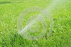 Automatic smart lawn sprinkler with adjustable head watering green lawn grass in sunny day
