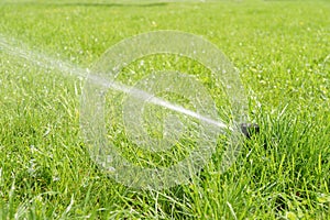 Automatic smart lawn sprinkler with adjustable head watering green lawn grass in sunny day