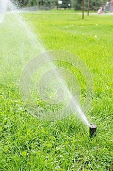 Automatic smart lawn sprinkler with adjustable head watering green lawn grass in sunny day