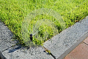 Automatic Sprinkler head spraying water over green grass.