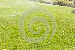 Automatic sprinkler head spraying water over green grass