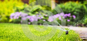 Automatic sprinkler system watering the lawn