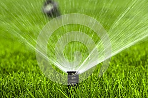 Automatic sprinkler system watering the lawn on a background of green grass
