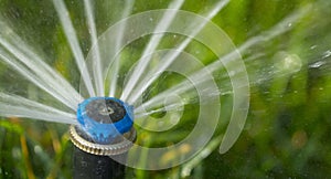 Automatic sprinkler system watering the lawn on a background of green grass