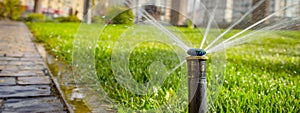 Automatic sprinkler system watering the lawn on a background of green grass