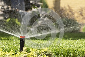 automatic sprinkler system watering the lawn on a background of green grass