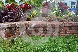 Automatic sprinkler system watering the lawn on a background of green grass, close-up