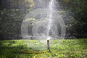 Automatic sprinkler system watering the lawn.Watering in the garden.