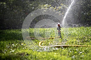 Automatic sprinkler system watering the lawn.Watering in the garden.