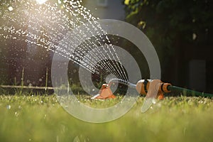 Automatic sprinkler watering green grass on sunny day in garden. Irrigation system