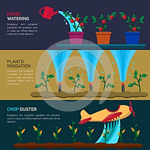 Automatic Sprinklers Watering. Agriculture