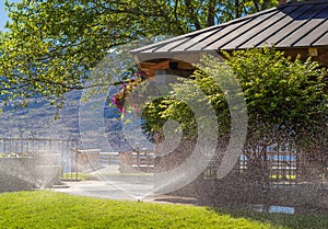 Automatic sprinklers watering grass. Garden Watering Systems. Irrigation System Watering the green grass