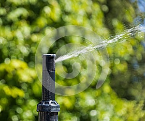 Automatic sprinklers watering grass. Garden Watering Systems. Irrigation System Watering the green grass